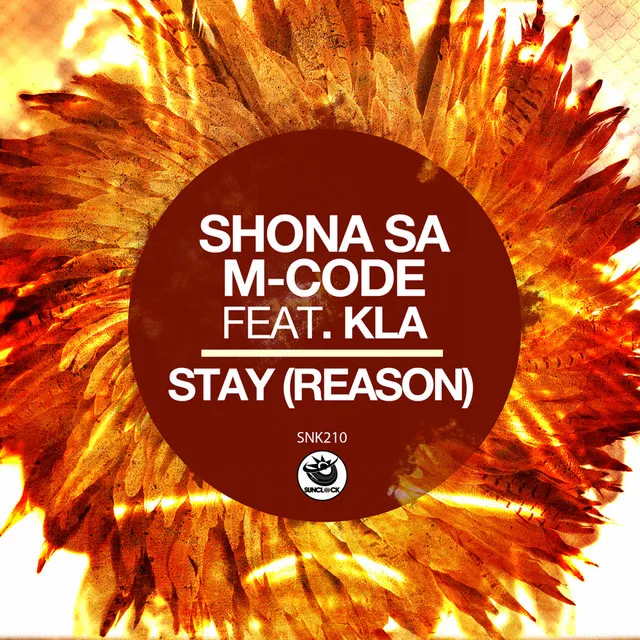 Stay (Reason)