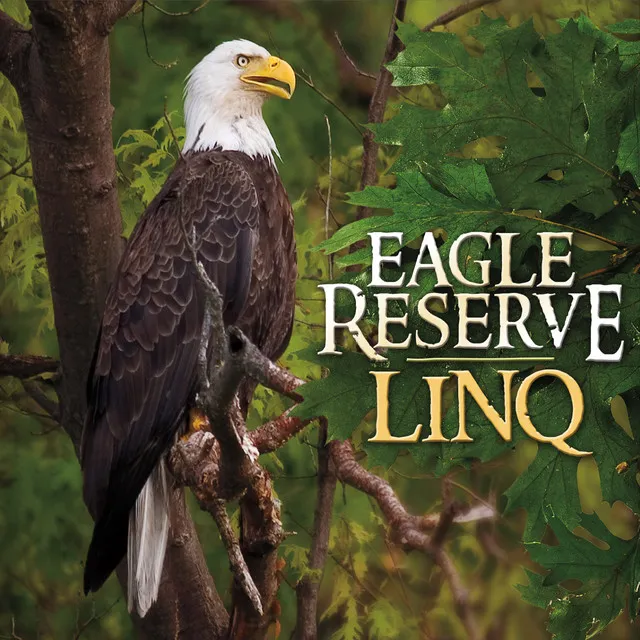 Eagle Reserve