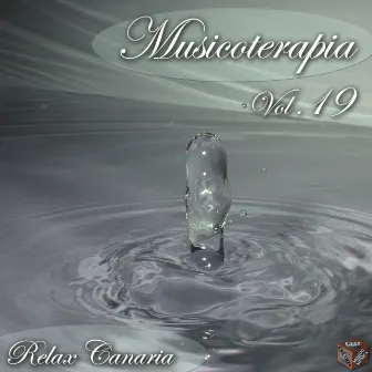 Musicoterapia, vol. 19 by Grande orchestra d'archi Carmine Liberati