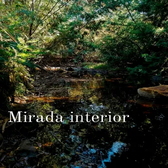 Mirada Interior by Misjoh