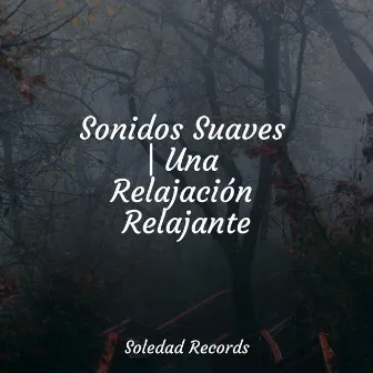 Sonidos Suaves | Una Relajación Relajante by Meditación Guiada