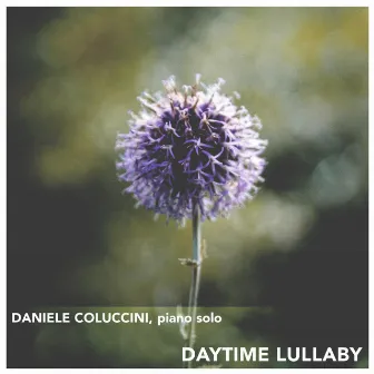 Daytime Lullaby by Daniele Coluccini