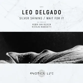 Silver Shining / Wait for It by Leo Delgado