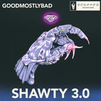 Shawty 3.0 by GoodMostlyBad