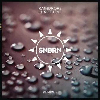 Raindrops (feat. Kerli) [Remixes] by SNBRN