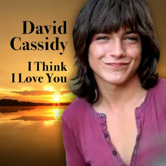 I Think I Love You by David Cassidy