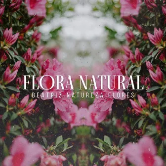 Flora Natural by Beatriz Natureza Flores