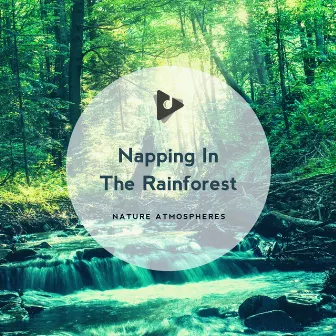 Napping In The Rainforest by Nature Atmospheres