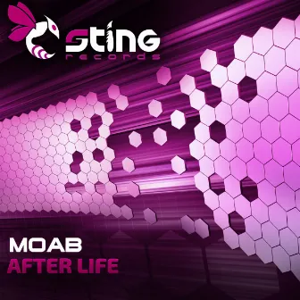 After Life by Moab