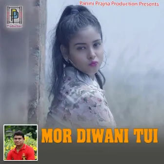 Mor Diwani Tui by 