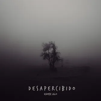 Desapercibido by KaoeseLillo