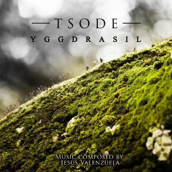 Yggdrasil by Tsode