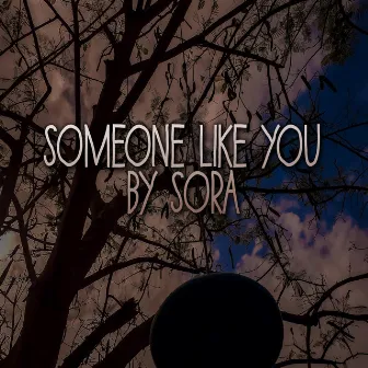 Someone Like You by Sora