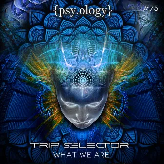 What We Are by Trip Selector