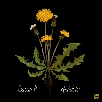 Antidote by Susan H