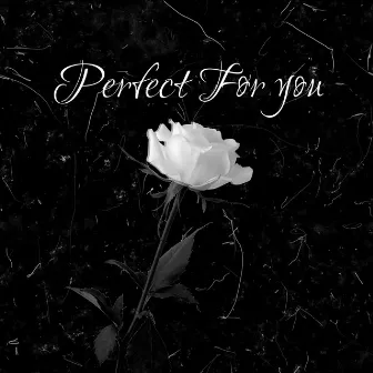 Perfect For You by PAL