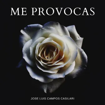 Me Provocas by Jose Luis Campos Casilari