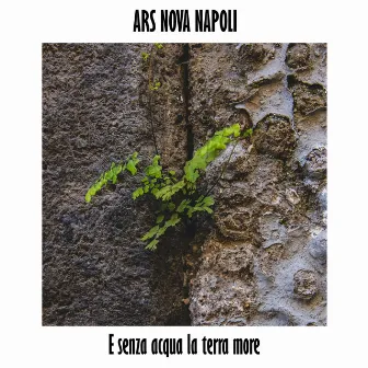 E senza acqua la terra more by Ars Nova Napoli