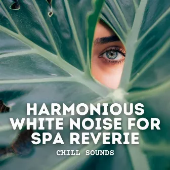 Chill Sounds: Harmonious White Noise for Spa Reverie by Soothing White Noise