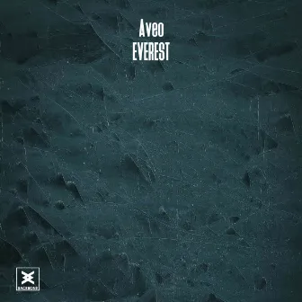 Everest by Aveo