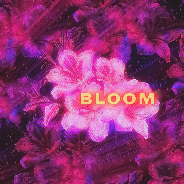 Bloom