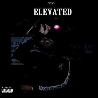 Elevated by Unknown Artist