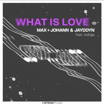 What Is Love (feat. indiigo) by Jayddyn