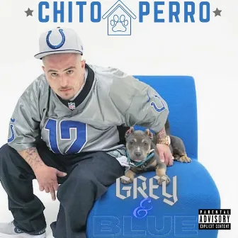 Grey and Blue by Chito Perro