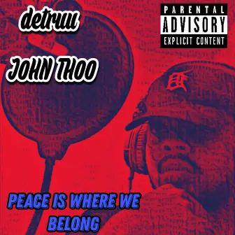 Peace is where we Belong (Radio Edit) by Detruu