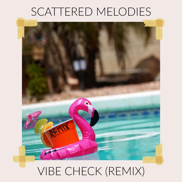 Vibe Check (Remix)