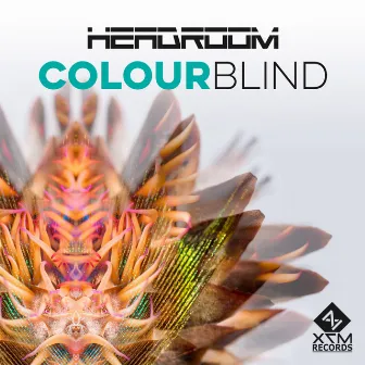 Colour Blind by Headroom (SA)