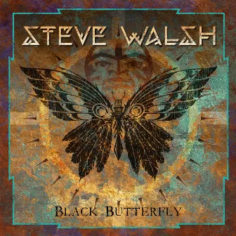 Black Butterfly by Steve Walsh