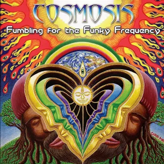 Fumbling For The Funky Frequency by Cosmosis