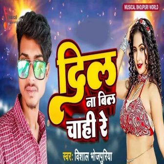 Dil Na Bil Chahi Re by Rohit Rangbaaz