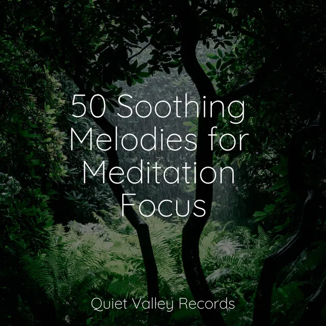 Music for Meditation and Relaxation