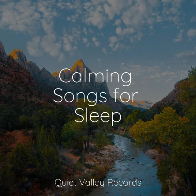 Calming Songs for Sleep