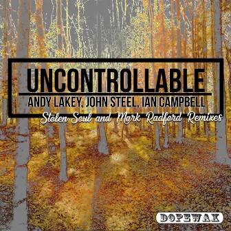 Uncontrollable by Andy Lakey