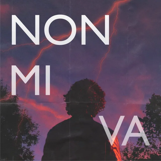 Non mi va