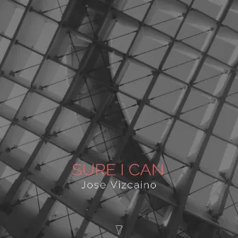 Sure I Can by Jose Vizcaino