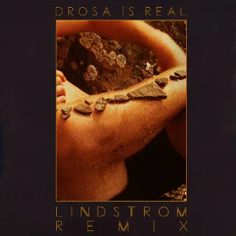 Drosa is real! (Lindstrøm Remix) by Andreas Rotevatn