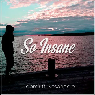 So Insane (feat. Rosendale) by Ludomir