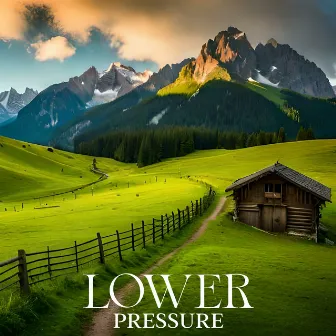 Lower Pressure: Calming Tracks For Meditation, Relaxation, Self-Soothing by Anti Stress Music Zone