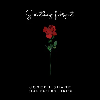 Something Perfect by Joseph Shane