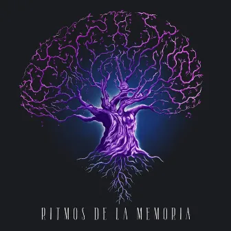 Ritmos de la Memoria by Quadrafunks