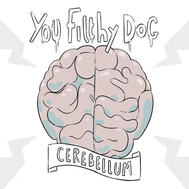 Cerebellum