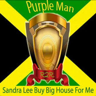 Sandra Lee Buy Big House for Me by Purple Man