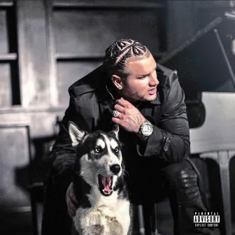 Trench Coat Towers by Jody HiGHROLLER