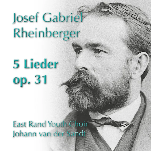 5 Lieder, Op. 31: V. Denk es, o Seele