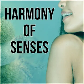 Harmony of Senses - Music to Help You Sleep & Relax, Sleeping Through the Night, Sweet Dreams, Inner Peace, Soothing Sounds & Soft Piano Music for Lounge by Body Harmony Music Consort