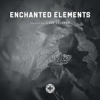 Enchanted Elements (DJ Mix) by 